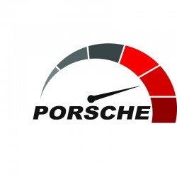 PO0001 Porsche 2010-... OBD