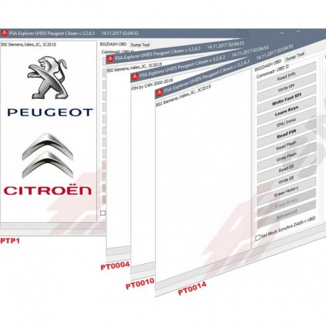PSA BSI + Read PIN PROMOTION PSA BSI + Read PIN PROMOTION (PTP3)